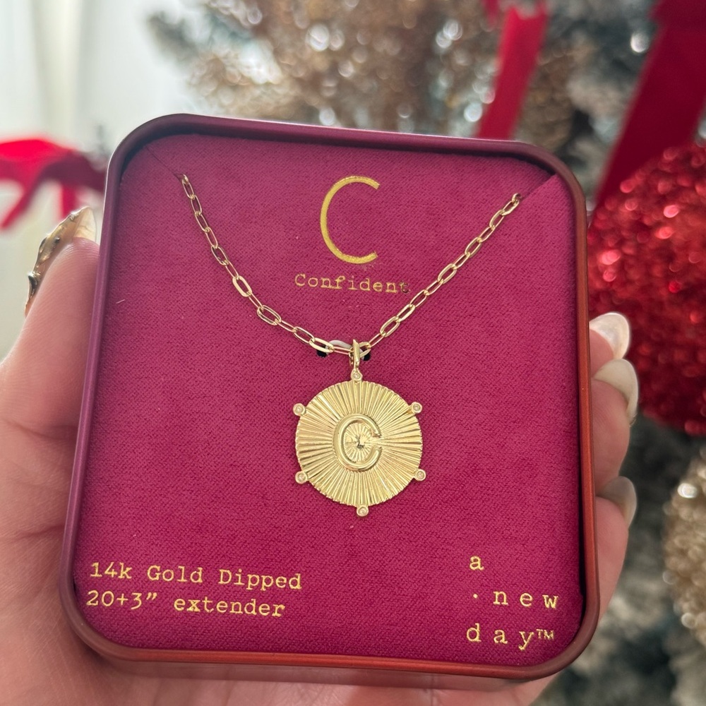NWT A new day 14K Gold Dipped necklace